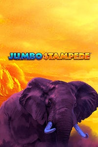 Jumbo-Stampede