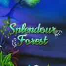 Splendour Forest
