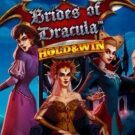 Draculas bruder Hold & Win