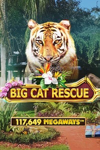MegaWays de rescate de grandes felinos
