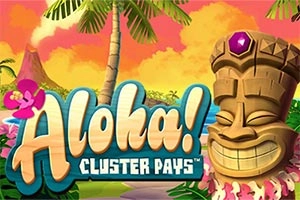 aloha cluster betaler