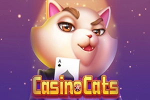 gatos de casino